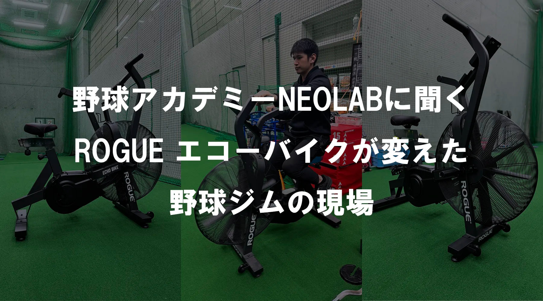 野球アカデミーNEOLABに聞くROGUE エコーバイクが変えた野球ジムの現場