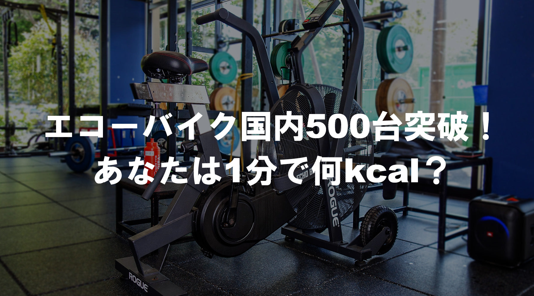ROGUEエコーバイク国内導入500台突破・1分間カロリーチャレンジのブログメイン画像