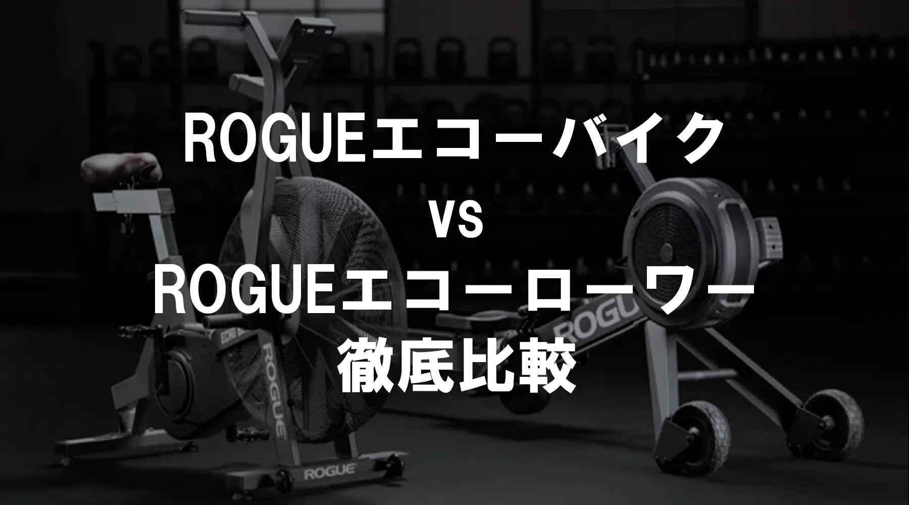 ROGUEエコーバイク vs ROGUEエコーローワー 徹底比較