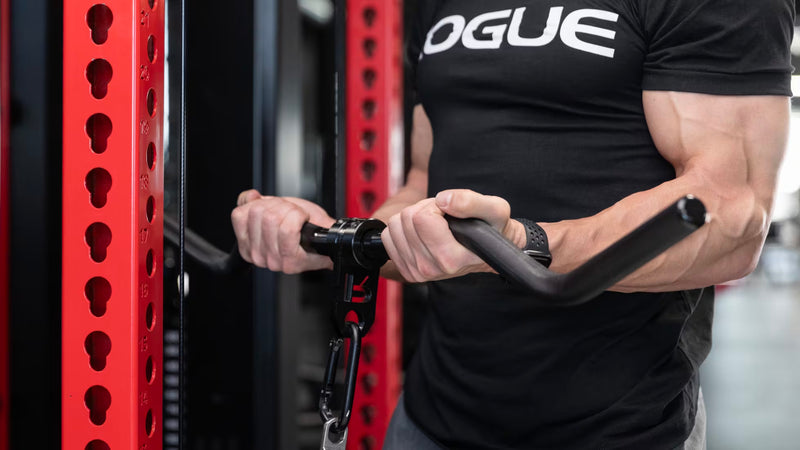 ブラックカラーのROGUE カールバー ケーブルアタッチメントを胸付近まで引くケーブルカール動作を斜め側面から捉えた構図、両手グリップ幅とバーの湾曲形状が分かる