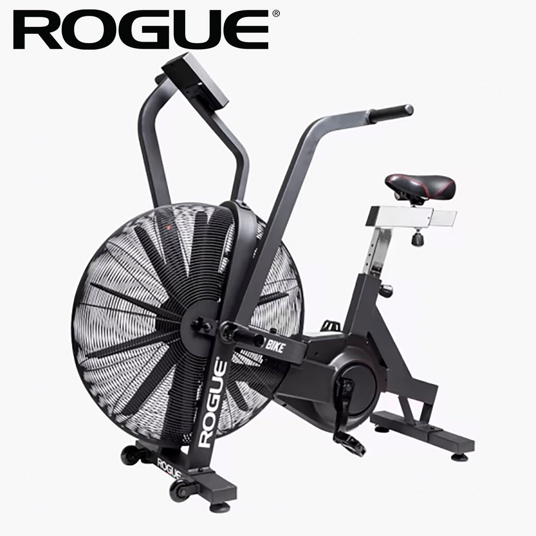 ROGUE エコーバイク V3.0 エアバイク 正面全体画像