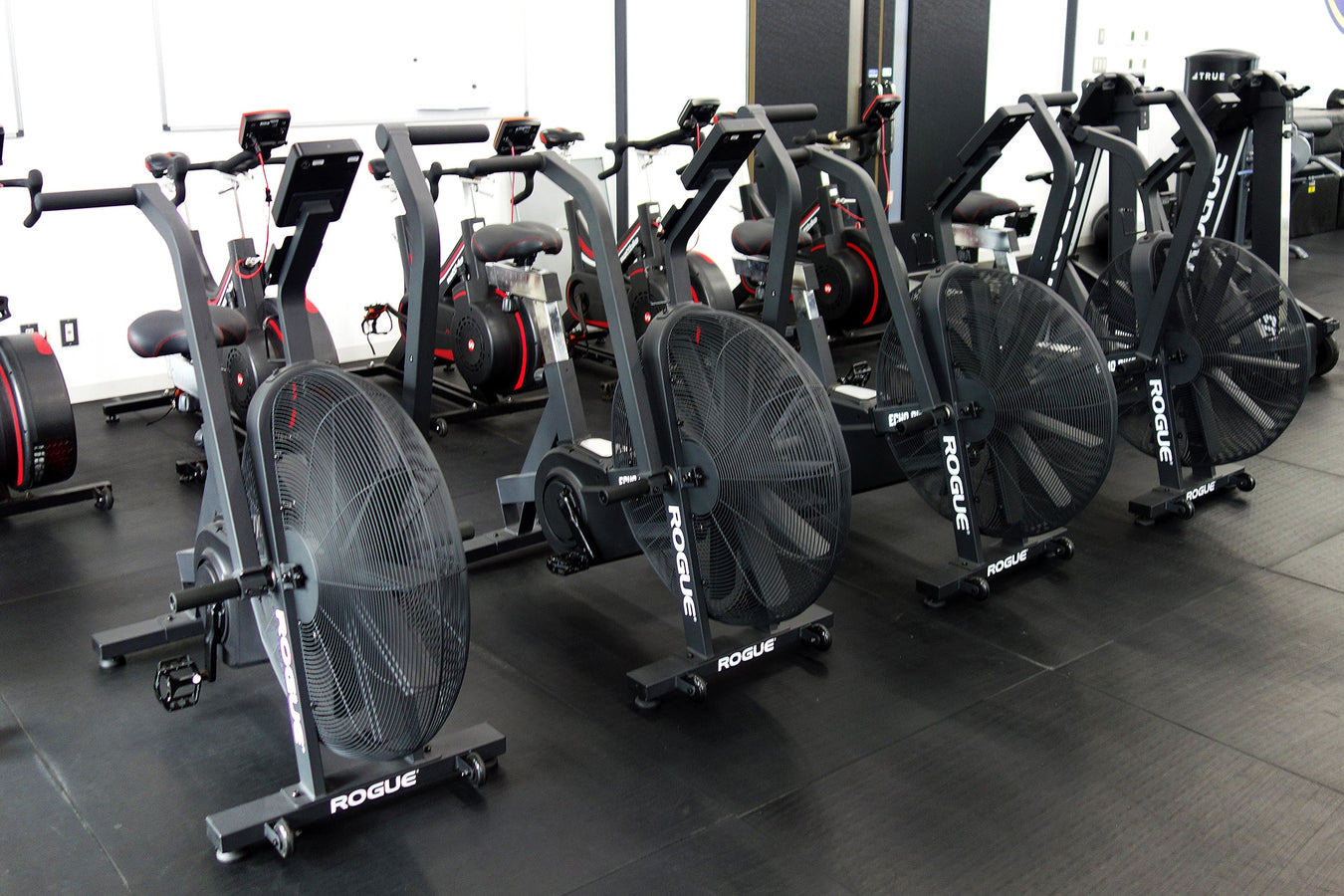 ジム内でROGUEエコーバイクが整列する様子を斜め前方から捉え、黒いフレームが並ぶ有酸素エリア
