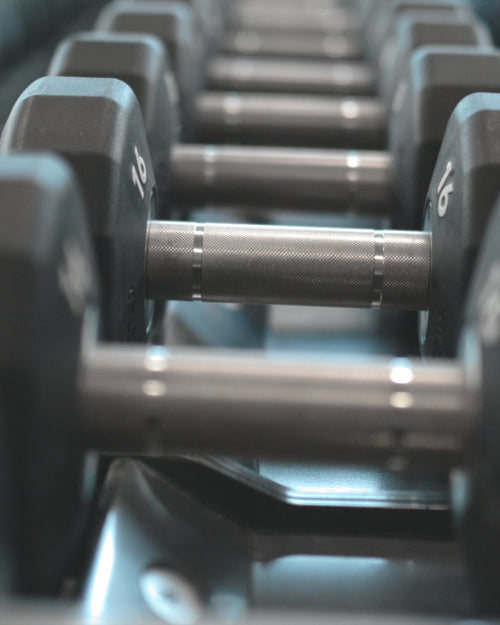 ELEIKO EVO 固定式ダンベルを使用した各種トレーニング